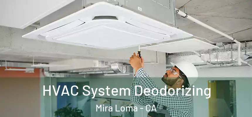 HVAC System Deodorizing Mira Loma - CA