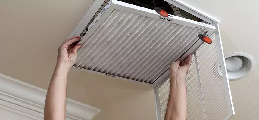Preventive Cockroach-Proofing for Ducts in Mira Loma