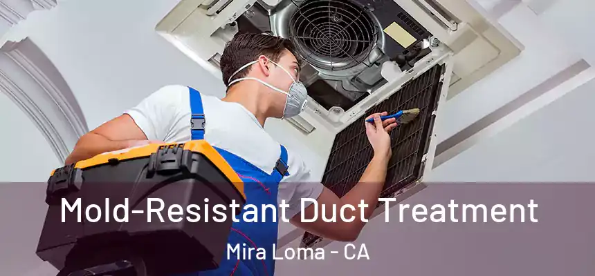  Mold-Resistant Duct Treatment Mira Loma - CA
