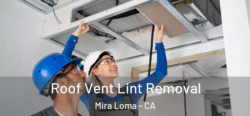  Roof Vent Lint Removal Mira Loma - CA