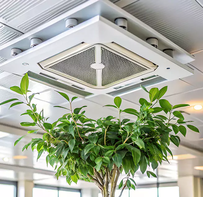 Why Homeowners & Businesses Trust Us in Mira Loma, CA?